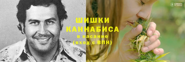 бутират Сатка