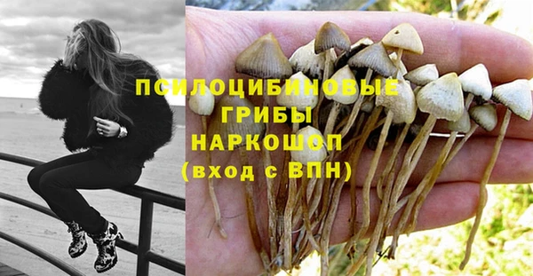 бутират Сатка