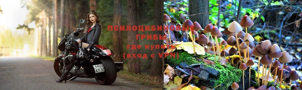 2c-b Ростов