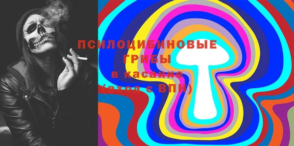 бутират Сатка